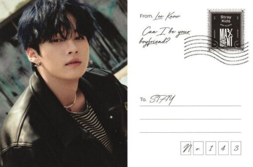 نامه های آلبوم Maxident از Stray Kids