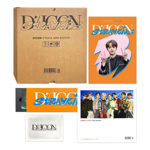 دی آیکون Dicon از Stray Kids ورژن D'Festa Mini Edition