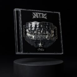 البوم جول کیس استری کیدز ATE های کپی